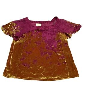 Anthropology Maeve Magenta Floral velvet Blouse